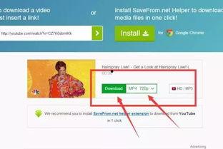 头条视频爆料素材哪里找,头条视频爆料素材的独家获取途径  第1张